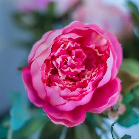 Dimora Grottone Gasthof 4*